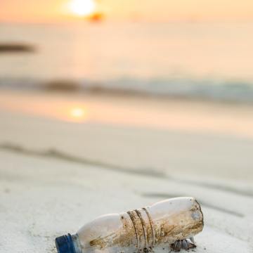 A bottle on a sandy beach.