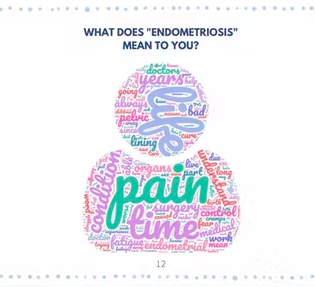 A word cloud of "what does 'endometriosis' mean to you?" The biggest words are pain, life, and time.